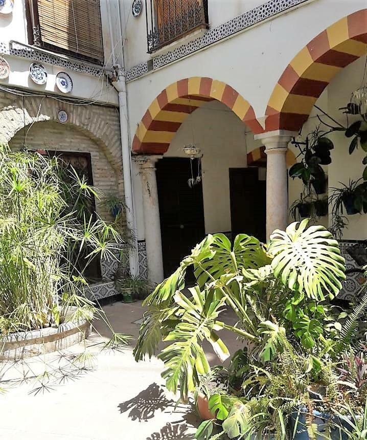 Apartament Ap Abderraman I Kordoba Zewnętrze zdjęcie